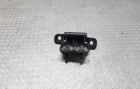 Cadillac SRX Tailgate/trunk/boot hinge