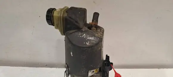 Renault Laguna III Power steering pump 491109313R
