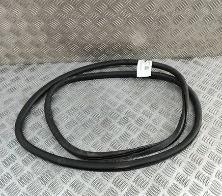 Porsche Panamera (970) Rubber seal rear door 97053626601