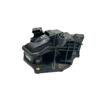 Renault Trafic III (X82) Throttle valve A2C53350932