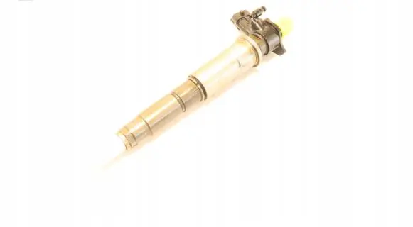 Renault Laguna III Fuel injector 0445115007