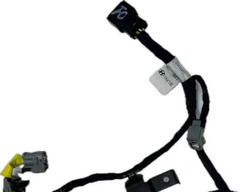 Hyundai Genesis Wiring harness 396103C750