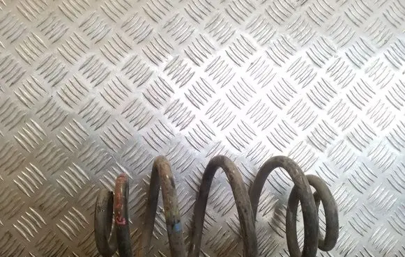 Rear coil spring