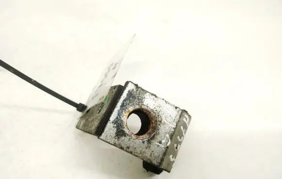 Rear door lower hinge