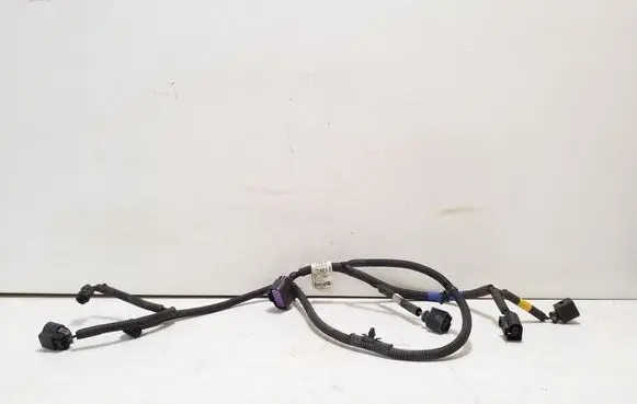 Other wiring loom