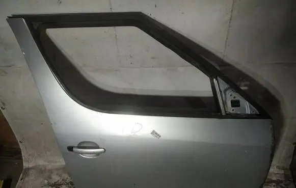 Skoda Roomster (5J) Front door pilkos