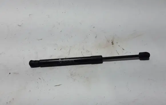 Dacia Spring Tailgate strut 904518452R