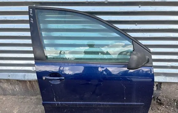 Volkswagen Polo IV 9N3 Front door