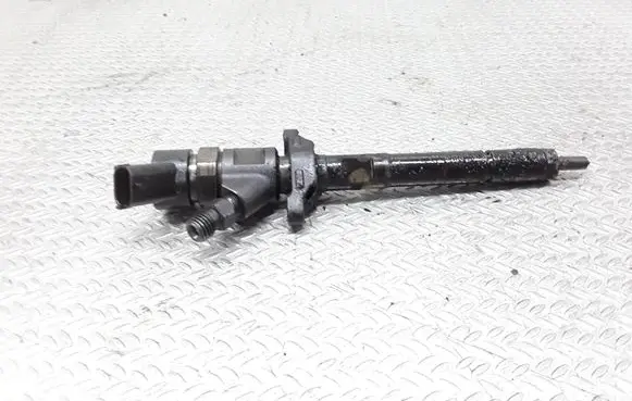 Citroen C5 Fuel injector 0445110259