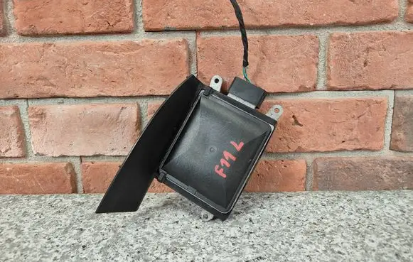 Blind spot module