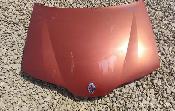 Renault Laguna II Engine bonnet/hood TEB76