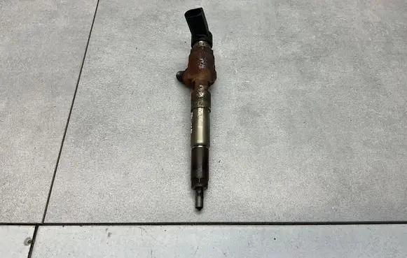 Nissan Juke I F15 Fuel injector H8201100113 166006212R