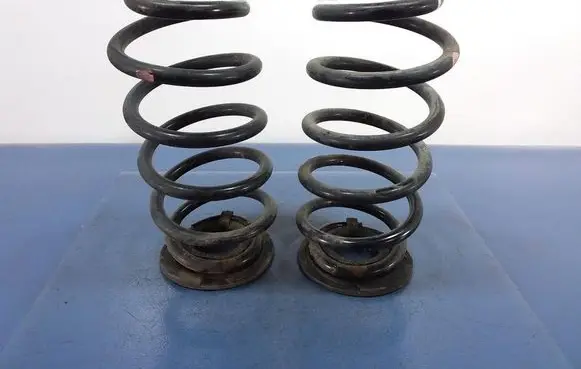 Rear coil spring