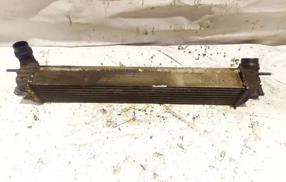 Renault Laguna III Intercooler radiator