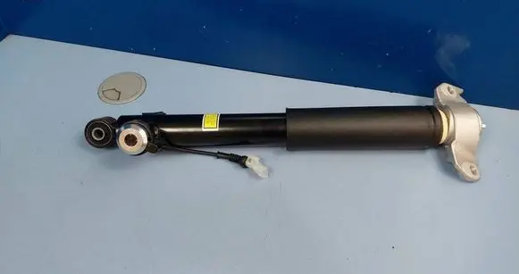 Opel Insignia A Rear shock absorber/damper 436853 22834093 A436853