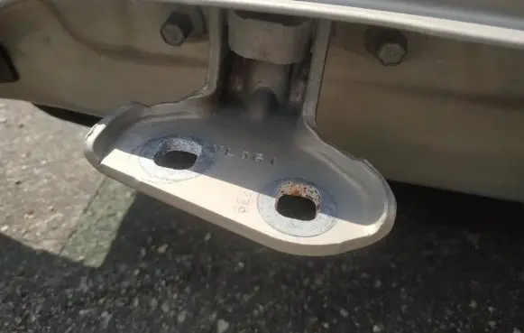 Cadillac CTS Rear door lower hinge