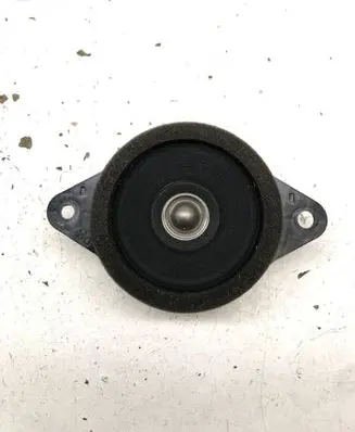 Panel speaker