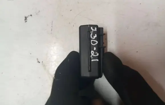 Volvo XC70 Front door interior light 31403139 P313D