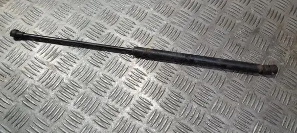 Tailgate/trunk strut/damper