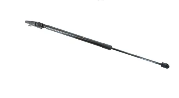 Tailgate/trunk strut/damper