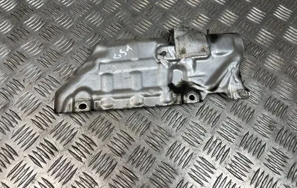 Exhaust heat shield