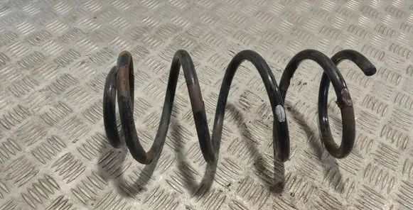 Hyundai Santa Fe Rear coil spring