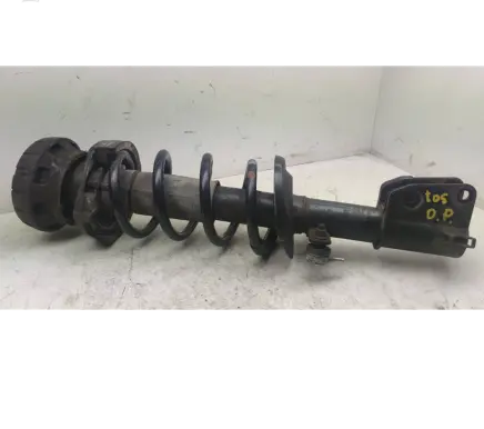 Renault Trafic III (X82) Front shock absorber with coil spring 91165311 8200010491 543923941R