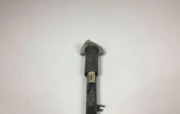 BMW X5 E70 Rear shock absorber/damper 6782877