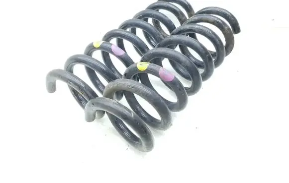 Rear coil spring