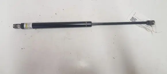 Opel Zafira B Tailgate/trunk strut/damper 1182189