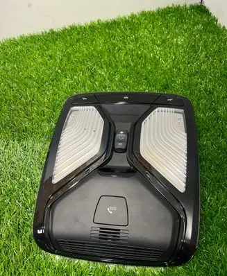 BMW X5 G05 Front seat light 9875363