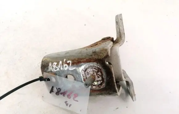 Rear door lower hinge