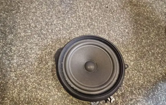 Audi A4 S4 B7 8E 8H Front door speaker