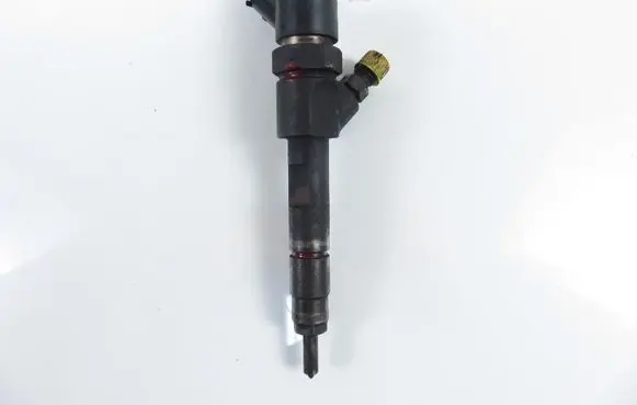 Renault Trafic II (X83) Fuel injector 0445110110B 8200100272