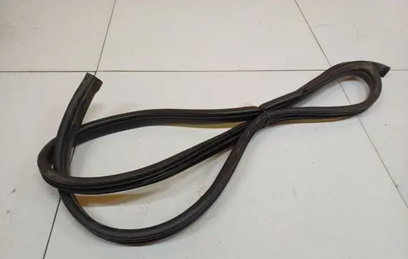 Hyundai Sonata Rubber seal front coupe door