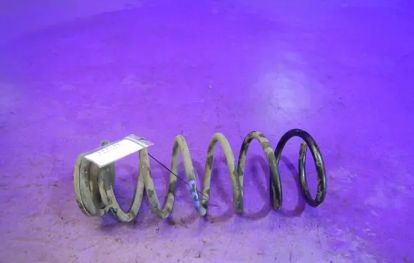Rear coil spring