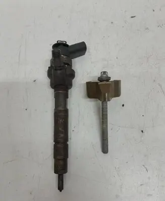 Mini Paceman (R61) Fuel injector 779844605 7798446 0445110289