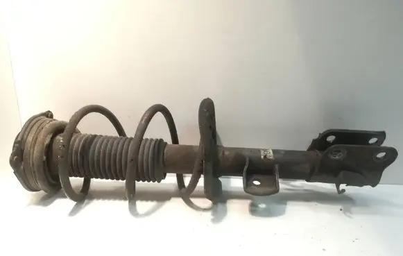 Nissan Juke I F15 Front shock absorber/damper