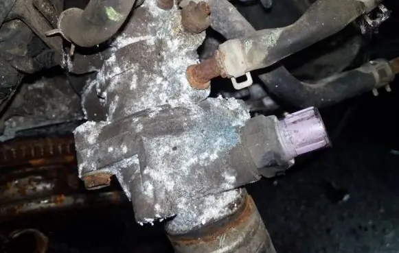 Honda Accord Engine coolant pipe/hose