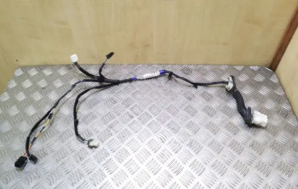 KIA Sorento Rear door wiring loom 918203E011
