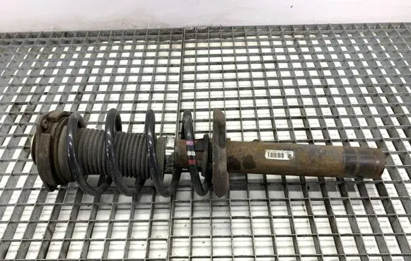 Volkswagen Golf V Front shock absorber/damper 1T0413031DS