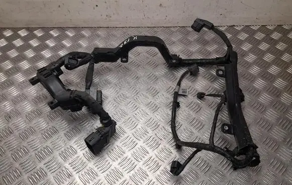 Hyundai Ioniq 5 Other wiring loom 91450GI010