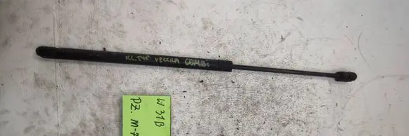 Opel Vectra C Tailgate strut 8974316546