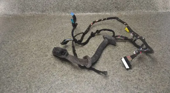 BMW 7 E65 E66 Front door wiring loom 6913127