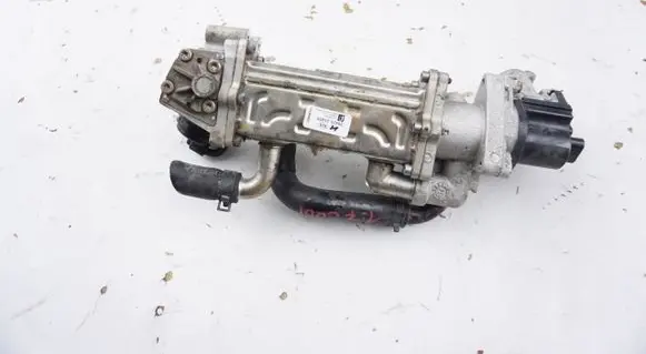 Seat Leon (1M) EGR valve cooler