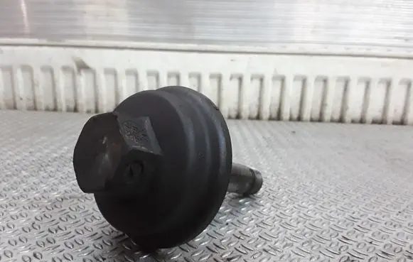 Volkswagen PASSAT B5.5 Oil filter cover 038117061B