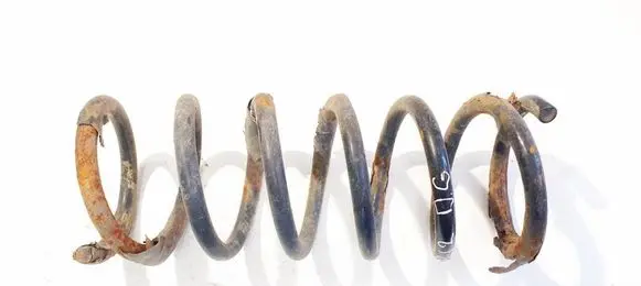 Rear coil spring