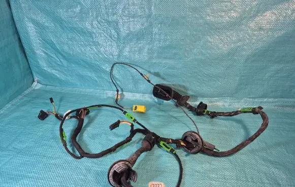 Front door wiring loom