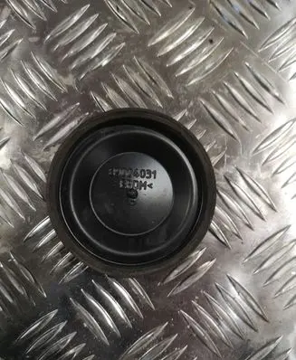 Volkswagen PASSAT B7 Headlight/headlamp dust cover 89004031