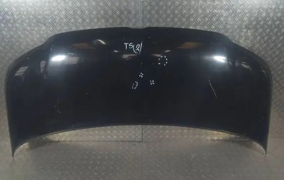 Volkswagen Multivan T5 Engine bonnet/hood